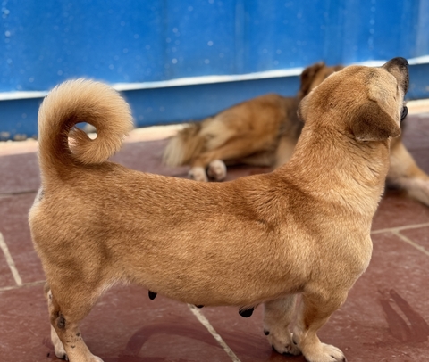 Đang cập nhật