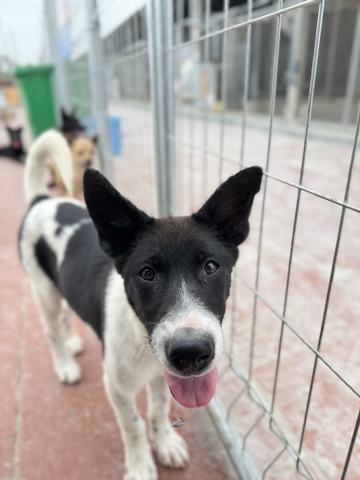 Max