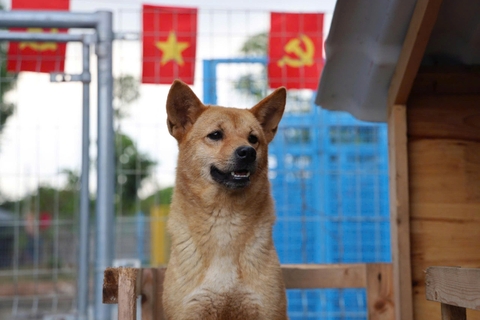 Tôm