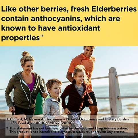 Kẹo dẻo bổ sung Vitamin C và kẽm Nature Made Elderberry Gummies with Zinc and Vitamin C