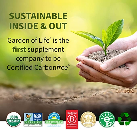 Bột protein hữu cơ thô hương Vani Garden of Life Organic Protein Powder, Vanilla