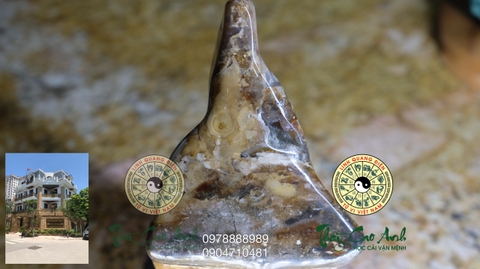Ngọc gỗ hóa thạch PTCA19