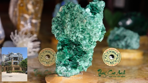 Đảo đá quý Malachite PTCA18