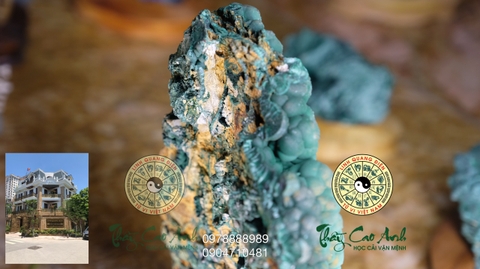 Đảo đá quý Malachite PTCA18