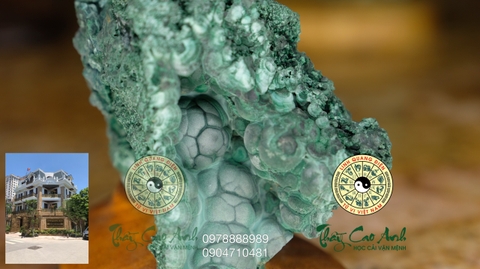 Đảo đá quý Malachite PTCA18