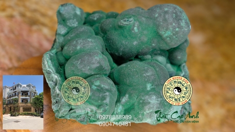 Đảo đá quý Malachite PTCA18