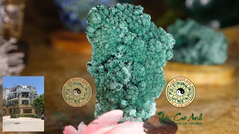 Đảo đá quý Malachite PTCA18