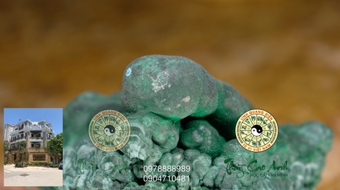 Đảo đá quý Malachite PTCA18