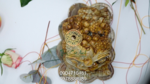 Thiềm Thừ chiêu tài lộc đã được khai quang điểm nhãn PTCA5