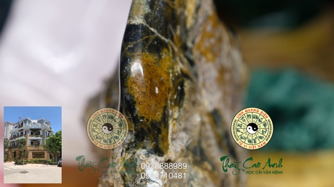 Ngọc gỗ hóa thạch PTCA19