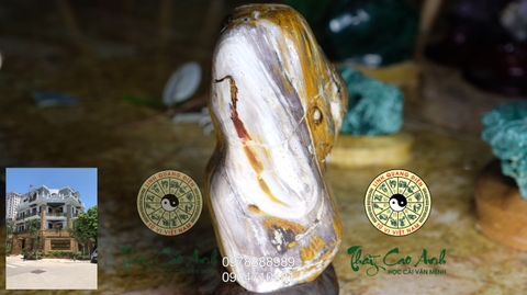 Ngọc gỗ hóa thạch PTCA19