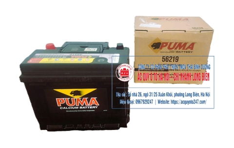 Ắc quy Puma DIN56219(62AH;580CCA)