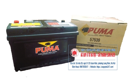 Ắc quy Puma DIN57539(75AH;630CCA)