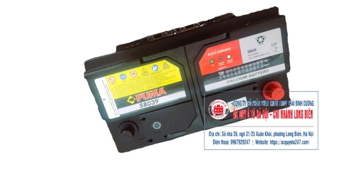 Ắc quy Puma DIN58039(80AH;730CCA)