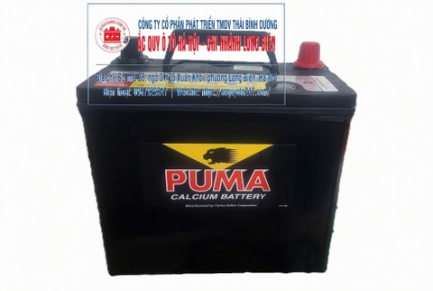 Ắc quy Puma 55B24RS (46AH; 420 CCA)