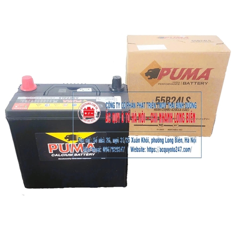 Ắc quy Puma 55B24LS (46AH;420CCA)