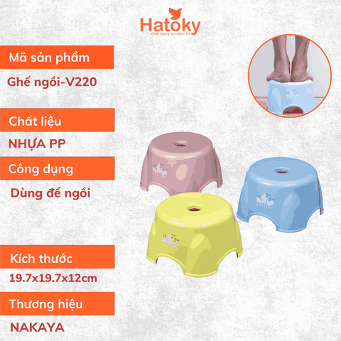 Ghế ngồi-V220