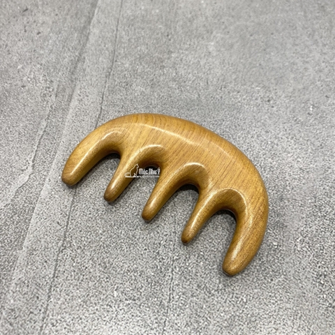 Lược massage đầu gỗ Bách xanh