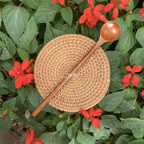 Thìa tròn cafe (size dài) xuất khẩu