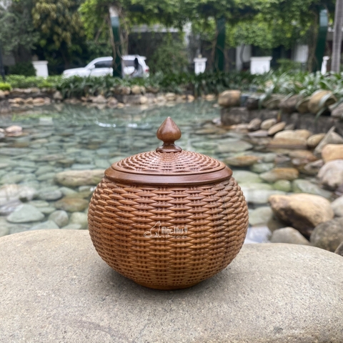 Âu Decor gỗ Bách Xanh nguyên khối