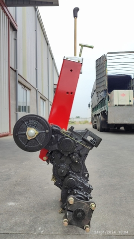 DÀN SỐ 91 QUẾ HOA NHÔNG 3 LÁ CÔN( KHÔNG TAY CÀNG)