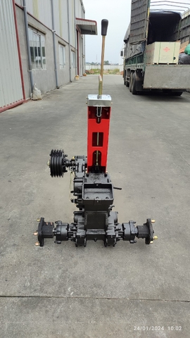 DÀN SỐ 91 QUẾ HOA NHÔNG 3 LÁ CÔN( KHÔNG TAY CÀNG)