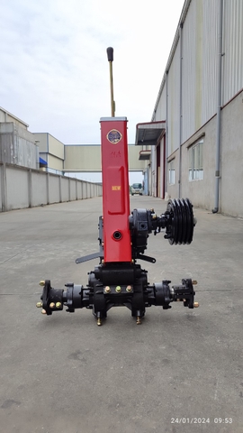 DÀN SỐ 91 QUẾ HOA NHÔNG 3 LÁ CÔN( KHÔNG TAY CÀNG)