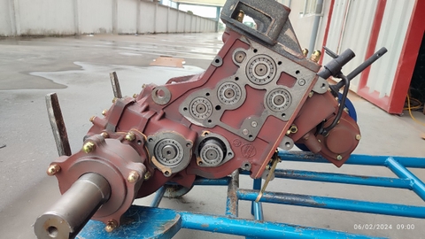 DÀN SỐ 91 QUẾ HOA NHÔNG 3 LÁ CÔN( KHÔNG TAY CÀNG)