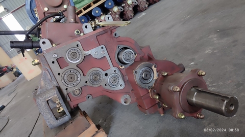 DÀN SỐ 91 QUẾ HOA NHÔNG 3 LÁ CÔN( KHÔNG TAY CÀNG)