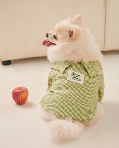 Pet Plaid Shirt - Lime