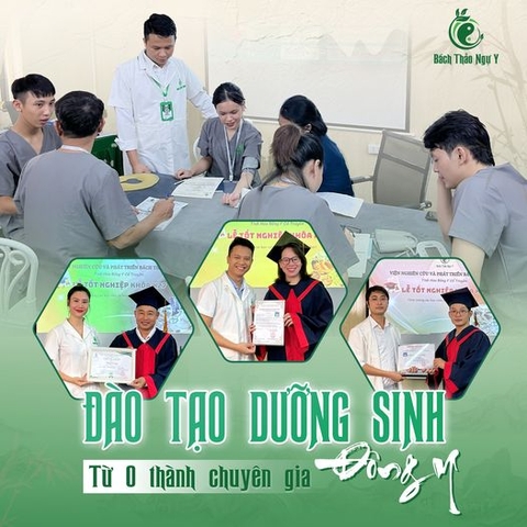 ĐÀO TẠO DƯỠNG SINH ĐÔNG Y - TỪ 0 THÀNH CHUYÊN GIA