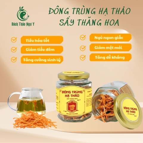 ĐÔNG TRÙNG HẠ THẢO SẤY THĂNG HOA