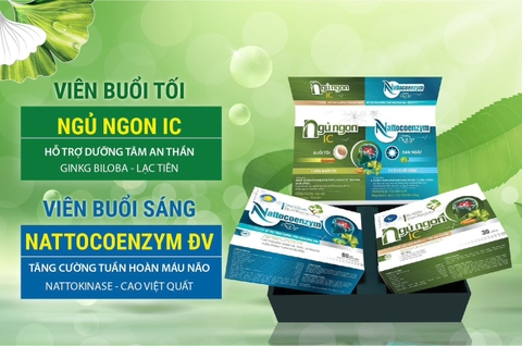 BỔ NÃO - AN THẦN