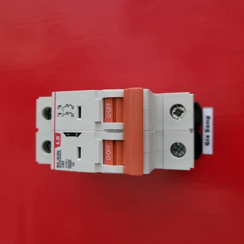 MCB 2P 25A