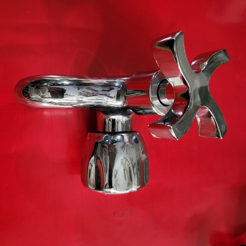 Củ sen Aspa