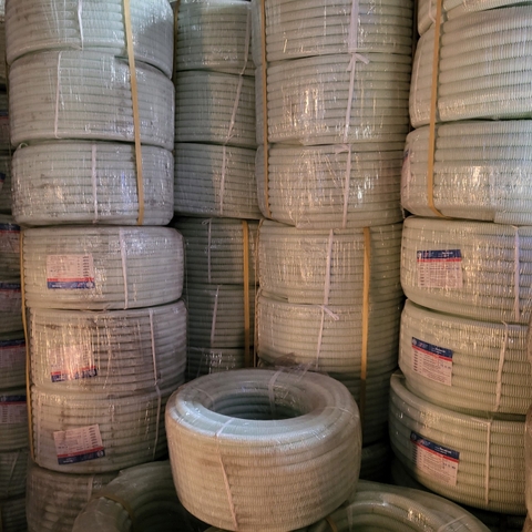 Ruột gà Sino phi 20