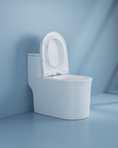 Bồn cầu 1 Khối DK C2424