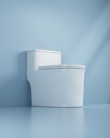 Bồn cầu 1 Khối DK C2424