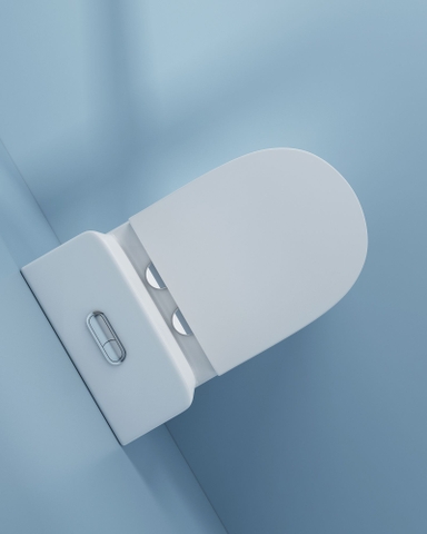 Bồn cầu 1 Khối DK C2424