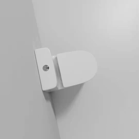 Bồn cầu 1 Khối DK C2426