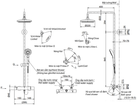 Sen Cây Nhiệt Độ TOTO TBW01302B