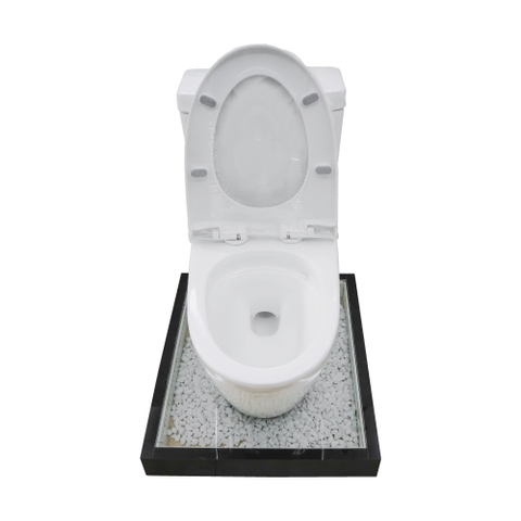 Bồn cầu 1 Khối DK C2376