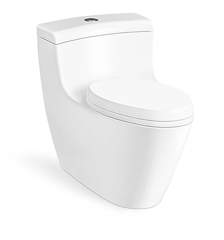 Bồn cầu 1 Khối DK C2389L