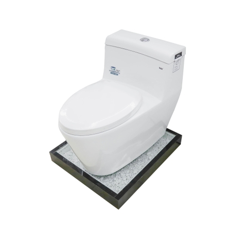 Bồn cầu 1 Khối DK C2389L