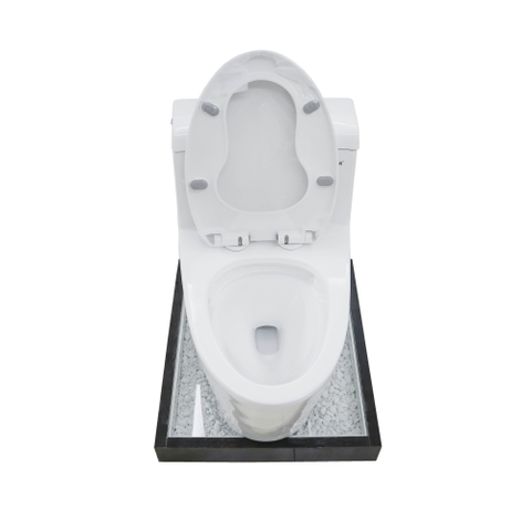 Bồn cầu 1 Khối DK C2389L