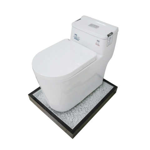 Bồn cầu 1 Khối DK C2393