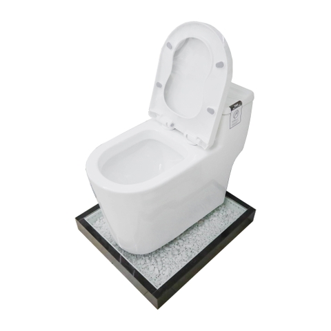 Bồn cầu 1 Khối DK C2393