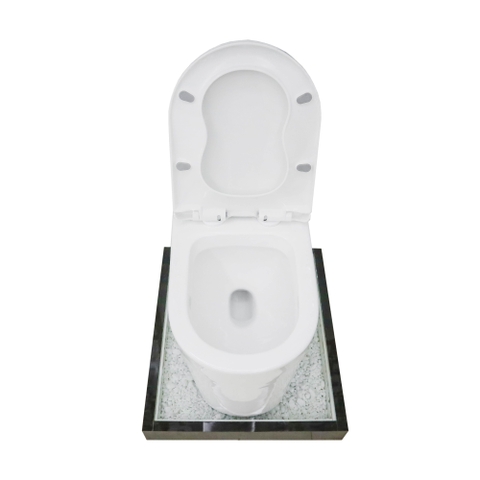 Bồn cầu 1 Khối DK C2393