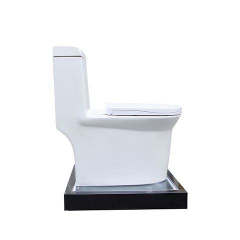 Bồn cầu 1 Khối DK C2405