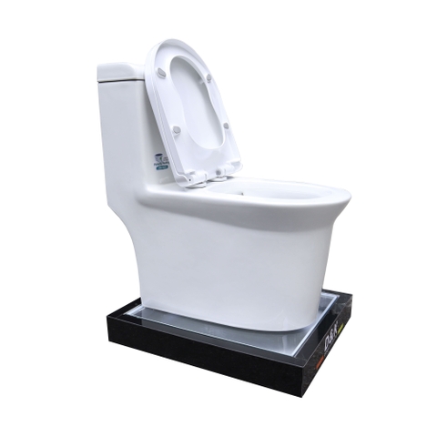 Bồn cầu 1 Khối DK C2405